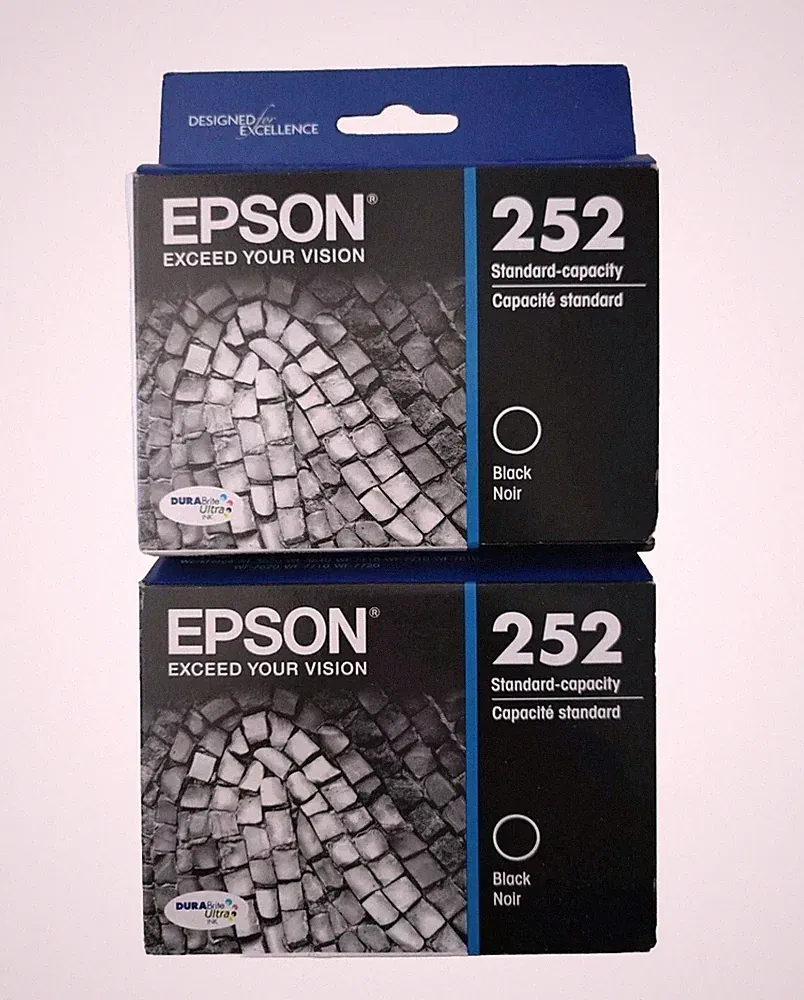 EPSON 252 Standard Capacity Ink Cartridge 2 Pack Expiration date 2024