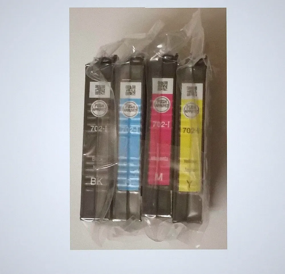Genuine Epson 702 setup Ink Cartridge WF-3730 WF-3720 WF-3733